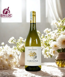 vang chile Carolina Reserva Chardonnay 2022