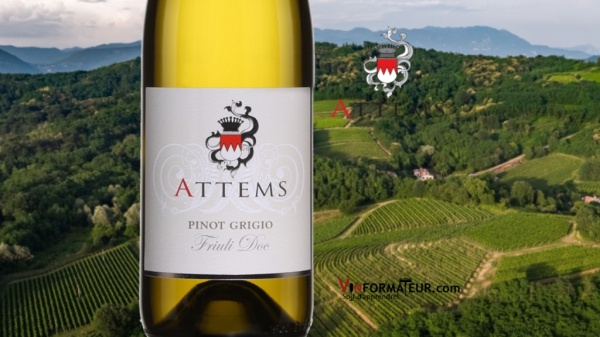 ruou-vang-attems-pinot-grigio6