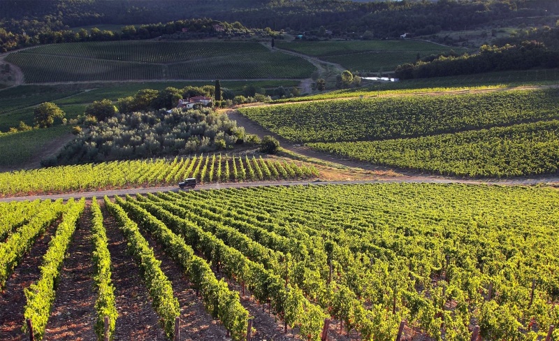 ruou-vang-nipozzano-mormoreto4