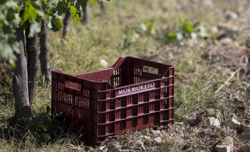 ruou-vang-nipozzano-mormoreto5