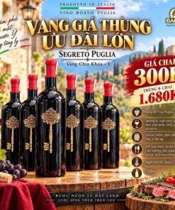 Rượu Vang Chìa Khoá Segreto Negroamaro Puglia 16%