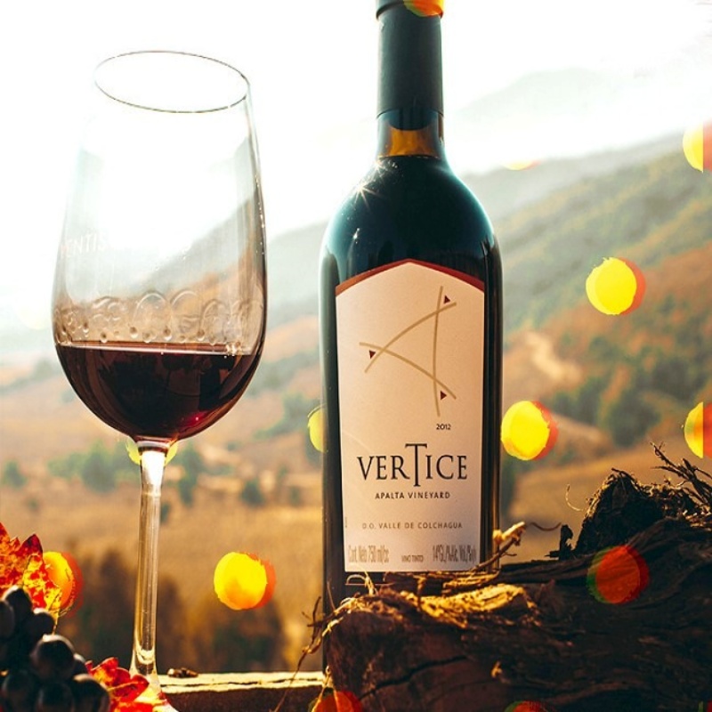 Rượu vang đỏ Chile Vertice Ventisquero