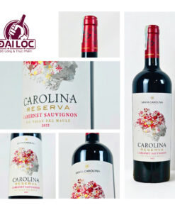 Carolina Reserva Sauvignon Blanc 2023 1