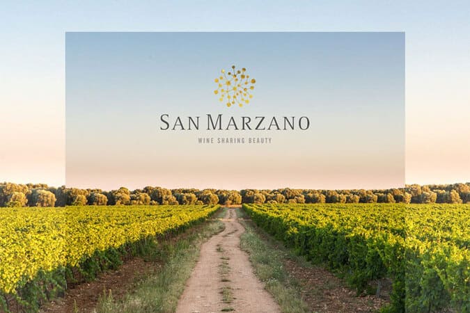 Timo Vermentino nha san marzano