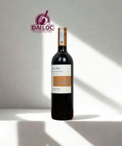 Rượu Vang Cono Sur Bicicleta Reserva Carmenere