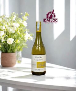 Cono Sur Bicicleta Reserva Chardonnay vang trang chile