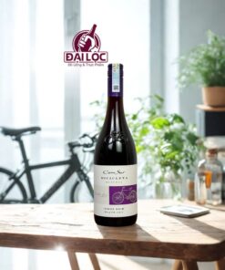 Cono Sur Bicicleta Reserva Pinot Noir vang chile cao cap