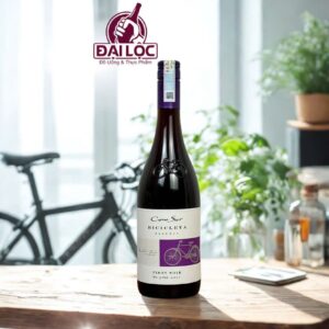 Cono Sur Bicicleta Reserva Pinot Noir vang chile cao cap