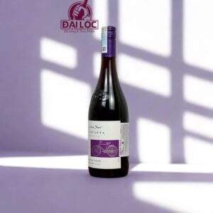 Cono Sur Bicicleta Reserva Pinot Noir
