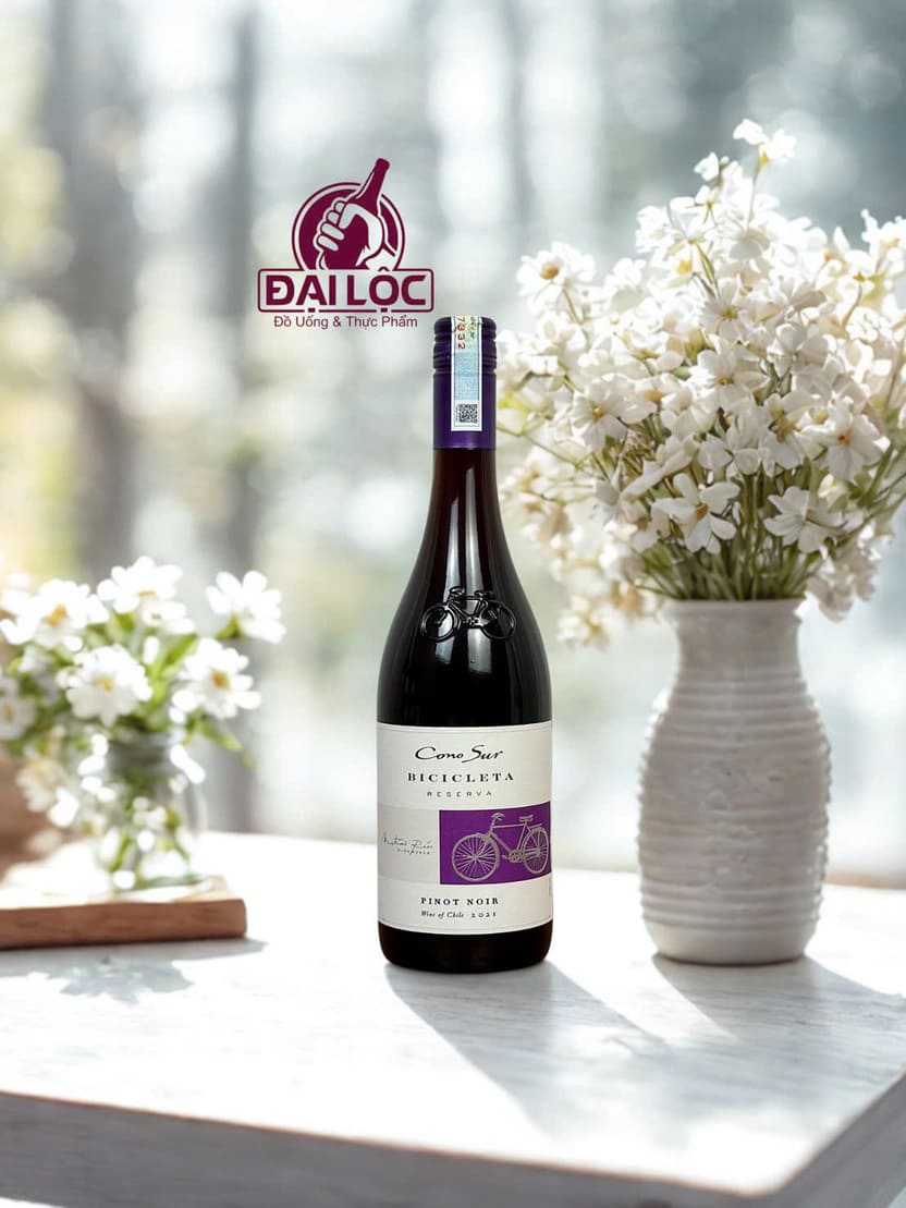 Cono Sur Bicicleta Reserva Pinot Noir vang chile
