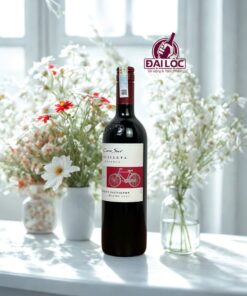 Cono Sur Bicicleta reserva Cabernet Sauvignon 13%