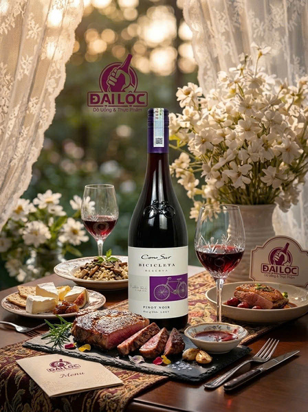 Rượu Vang Chile Cono Sur Bicicleta Reserva Pinot noir 13% 750ml