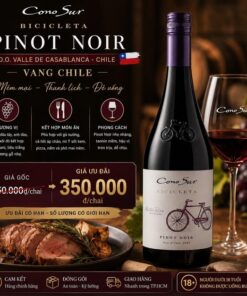 Rượu Vang Chile Cono Sur Bicicleta Reserva Pinot noir 13% 750ml
