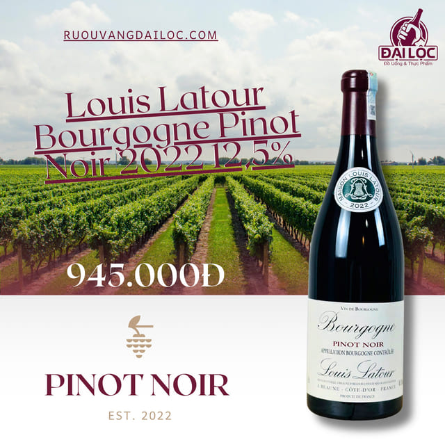 VANG PHÁP LOUIS LATOUR BOURGOGNE PINOT NOIR 2022 – VỊ TINH TẾ CỦA BURGUNDY Louis Latour Bourgogne Pinot Noir vang pháp
