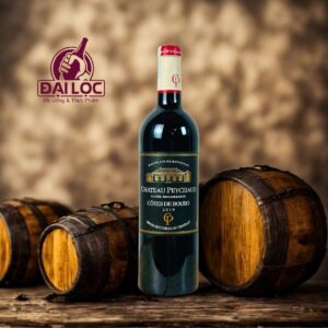 Château Peychaud 2019 vang Pháp dưới 1 triệu