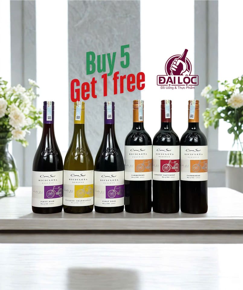 Rượu Vang Cono Sur Bicicleta Reserva Carmenere 13% 750ml Ruou vang Bicicleta