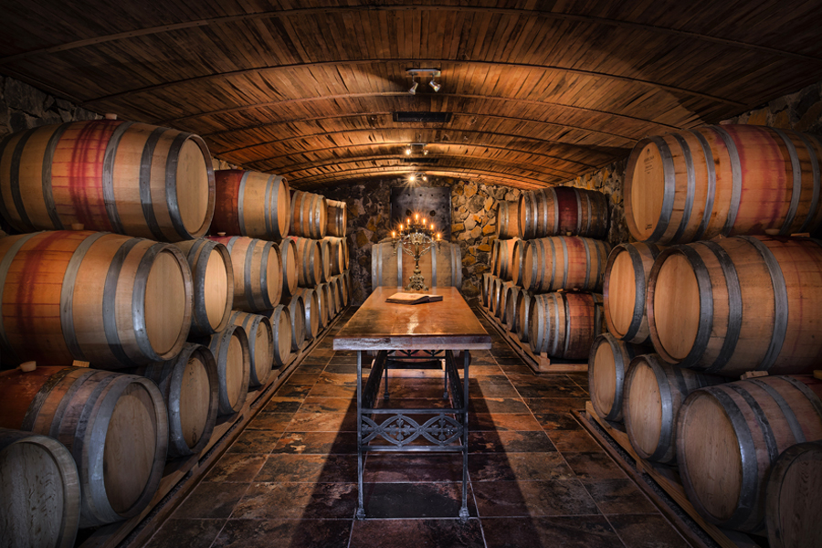 Vang El Enemigo Malbec 2020: Đối Thủ Hoàn Hảo Của Chính Mình El Enemigo Malbec 2020 1