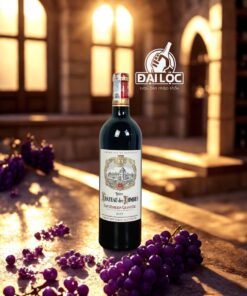 Rượu vang Pháp Vieux Château des Combes Saint-Émilion Grand Cru 15% niên vụ 2019