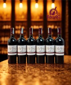 Rượu Vang Pháp 1679 Bordeaux Rouge 14% (2022)