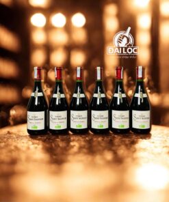 Rượu Vang Pháp Combes Saint Sauveur 14% (2022) – Sự Tinh Tế Từ Miền Nam Nước Pháp