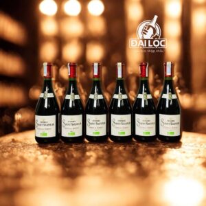 Rượu Vang Pháp Combes Saint Sauveur 14% (2022) – Sự Tinh Tế Từ Miền Nam Nước Pháp