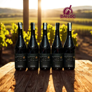 Vang Di Sipio Trevvoci 2024 13,5%: Bản Giao Hưởng Ba Giọng Ca Từ Vùng Abruzzo