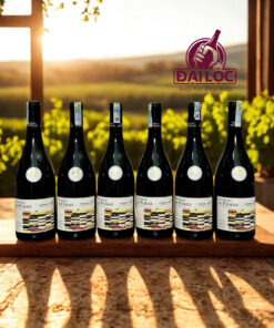 Rượu vang Pháp Château de Fesles La Chapelle 2022 13,5%: Tinh Hoa Vang Đỏ Từ Thung Lũng Loire