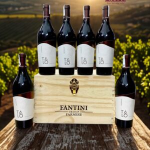 Rượu vang Talò Negroamaro 2023 13,5%: Vũ Điệu Quyến Rũ Của Vang Đỏ Miền Nam Ý