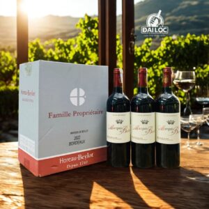 Rượu Vang Pháp Marquis De Baylot 2022 14% - Chai 750ml