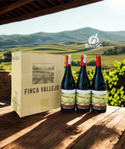 Rượu Vang Tây Ban Nha Finca Vallejo Ribera Del Duero 2021 14% - Lịch sử rượu vang Tây Ban Nha
