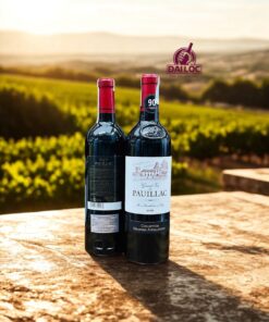 Rượu Vang Pháp Grand Vin de Pauillac