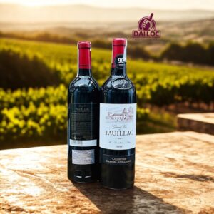 Rượu Vang Pháp Grand Vin de Pauillac