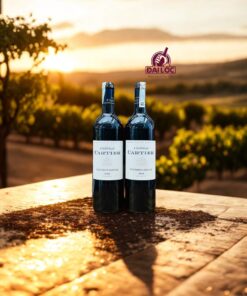 Rượu Vang Pháp Château Cartier Saint-Émilion Grand Cru 14,5% 2022