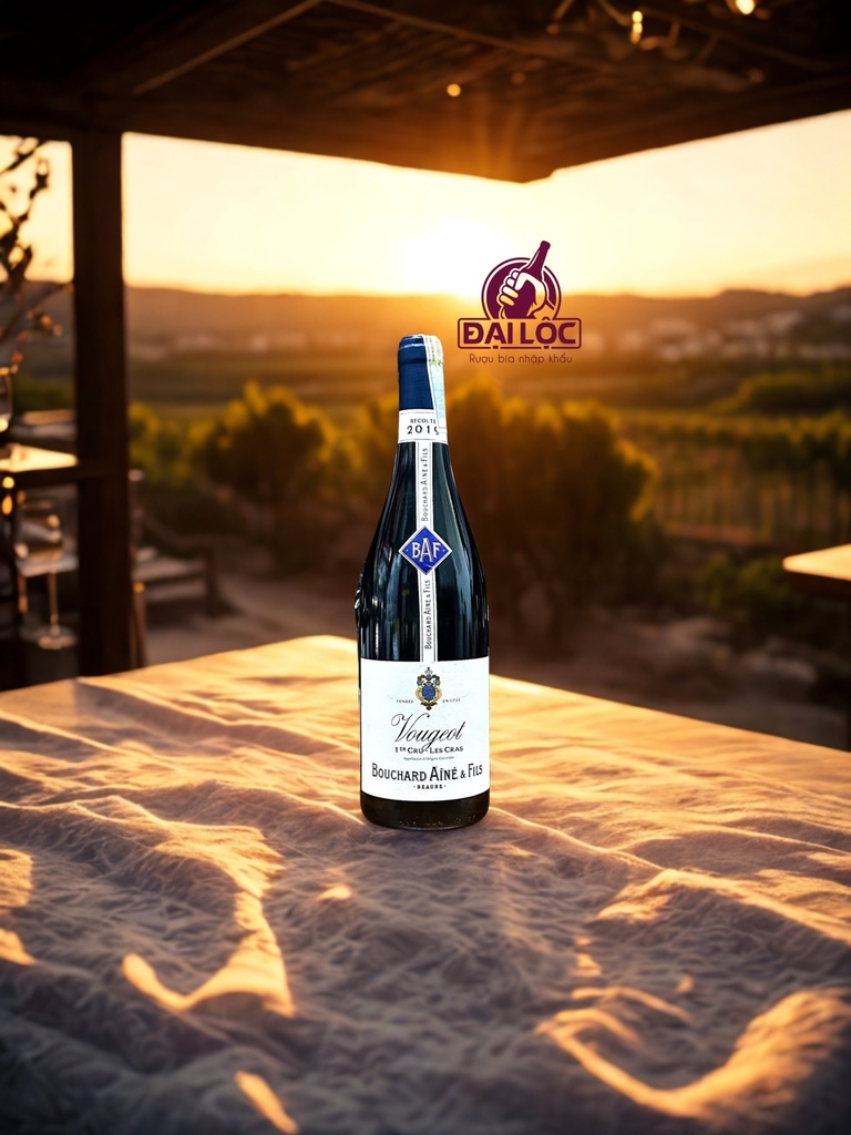 Rượu Vang Pháp Bouchard Aîné & Fils Vougeot 1er Cru Les Cras 13,5% 2019