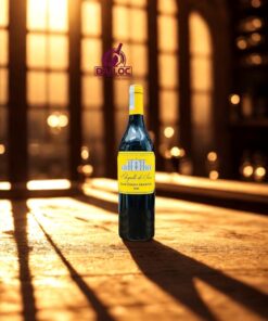 Rượu Vang Pháp Chapelle de Seize Saint-Émilion Grand Cru 14% 2020
