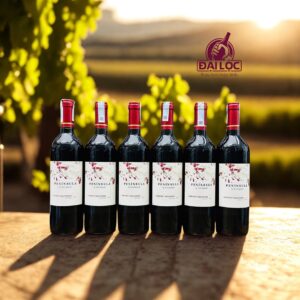 Rượu Vang Chile Ventisquero Peninsula 13% 2024