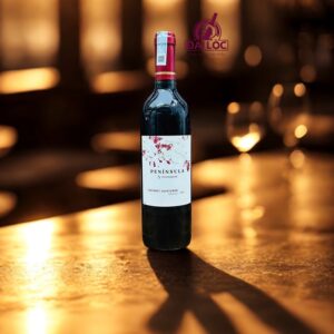 Rượu Vang Chile Ventisquero Peninsula 13% 2024