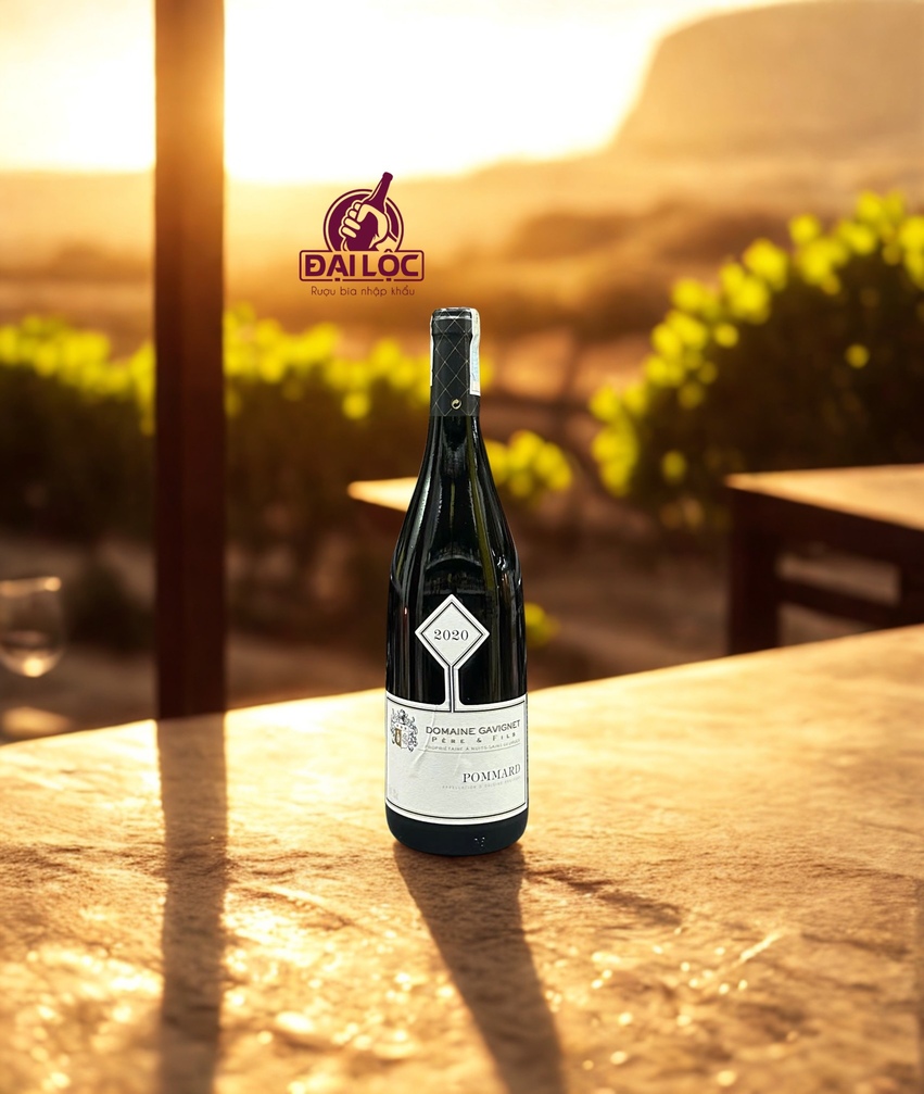 Rượu Vang Pháp Pommard Domaine Gavignet 2020 13%: Kiệt Tác Pinot Noir