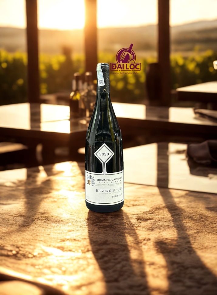 Rượu Vang Pháp Beaune 1er Cru Les Belissands Domaine Gavignet 13,5% 2022