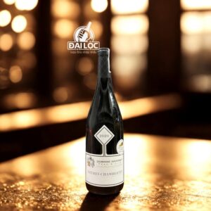 Rượu Vang Pháp Domaine Gavignet Gevrey-Chambertin 2020 13,5%