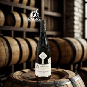 Rượu Vang Pháp Domaine Gavignet Gevrey-Chambertin 2020 13,5%
