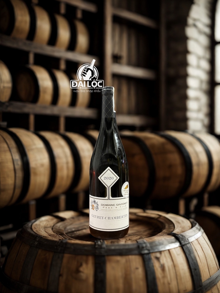 Rượu Vang Pháp Domaine Gavignet Gevrey-Chambertin 2020 13,5%