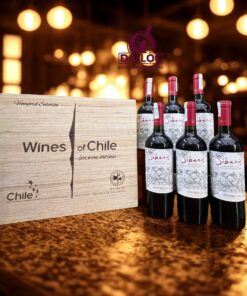 Rượu Vang Chile Sibaris Cabernet Sauvignon 2024 Undurraga Gran Reserva 14%