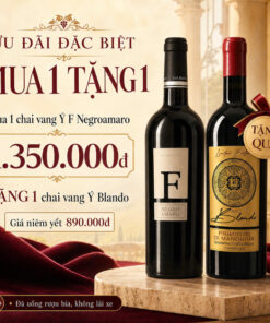 Mua 1 Tặng 1: Vang F Negroamaro 15% Tặng Vang Blando Primitivo 15,5%