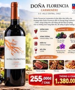 Rượu Vang Chile Dona Florencia 13,5% 2025 - Chai 750ml
